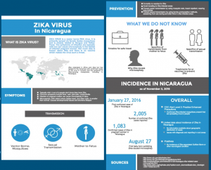 An infographic intended to compile our research on Zika into a palatable and easily accessible format. Our intention is to translate this document to Spanish and bring several laminated versions with us on the trip. 