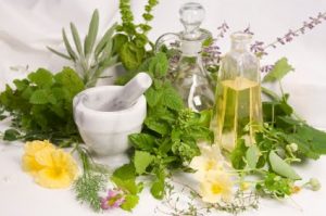 herbal-medical