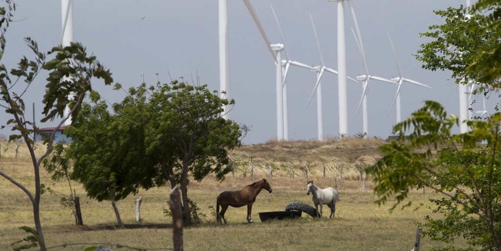 Horses graze on land in Rivas, Nicaragua, near wind turbines on March 11, 2015. The turbines are quiet, emitting a low buzz, which leaves both locals and animal life undisturbed, Pentzke said. Danika Worthington/JMC 470