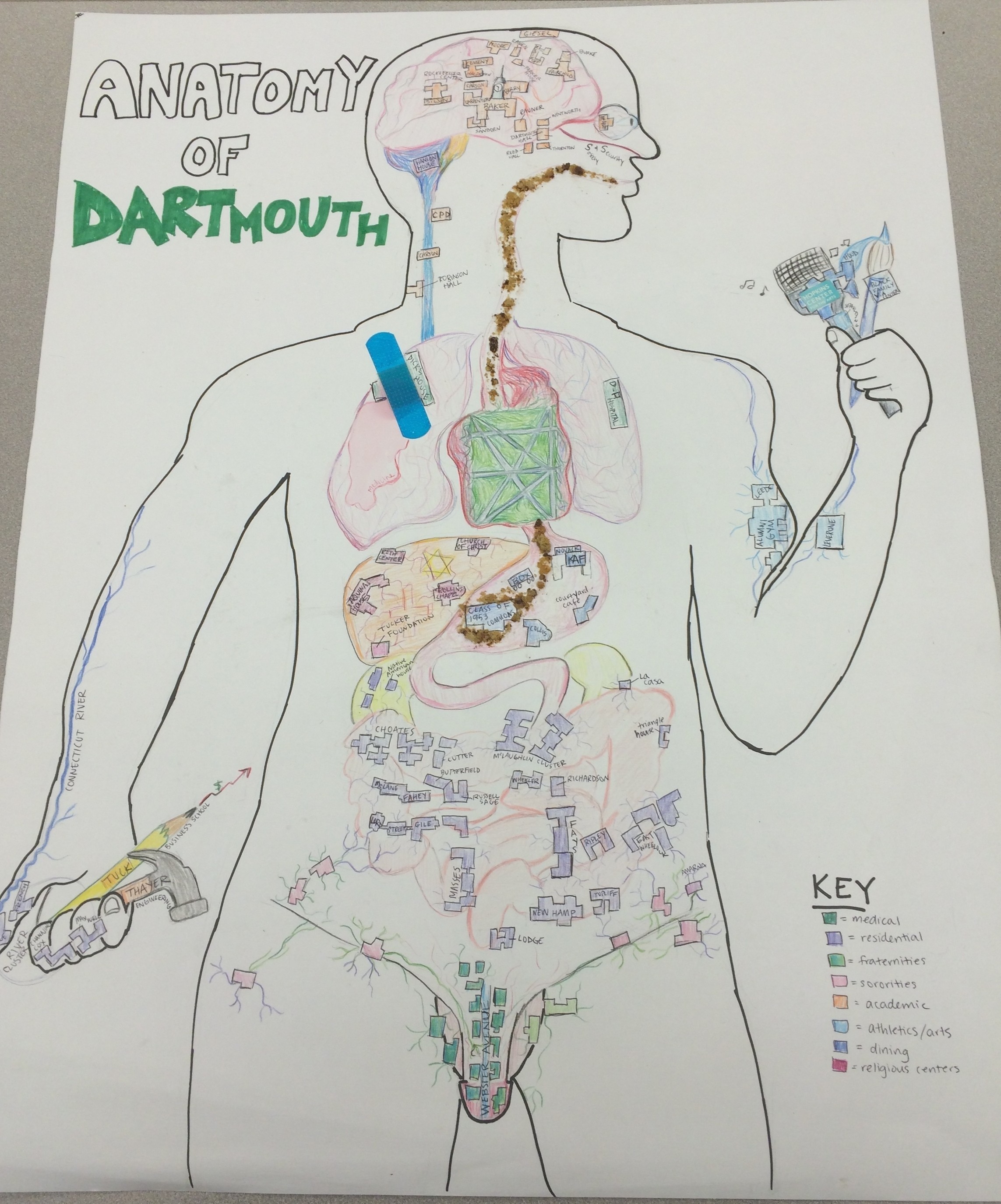 Mapping Dartmouth: an anatomical approach