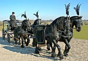 Victorian Funeral Carriage