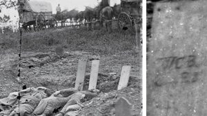Fallen confederate soldiers with identifying headboards on Rose Farm. LOC, Civil War Trust.